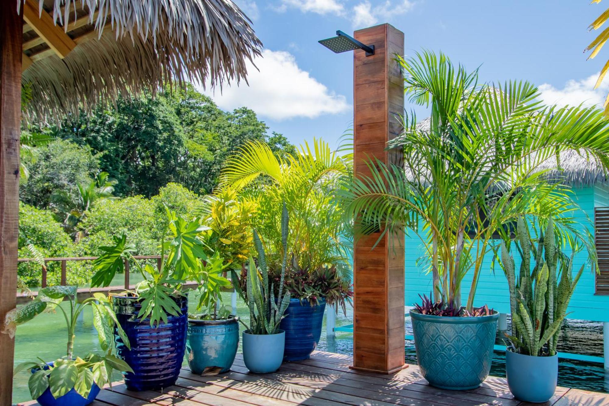 Sol Bungalows Bocas Del Toro Extérieur photo